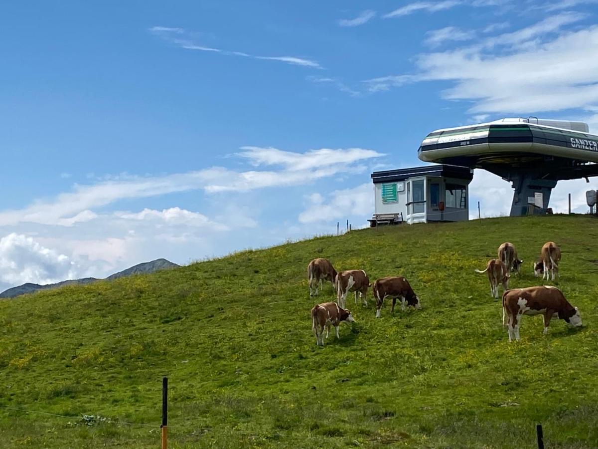 Penthaus Kitzebueheler Alpen Apartment Neukirchen am Grossvenediger Exterior photo